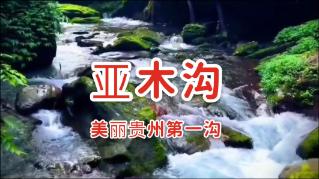 从日照回来后,才知道的事